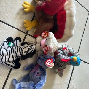 Ty Multi-Colored Beanie Plush Assortment - Zebra, Elephant, Bird, Lamb